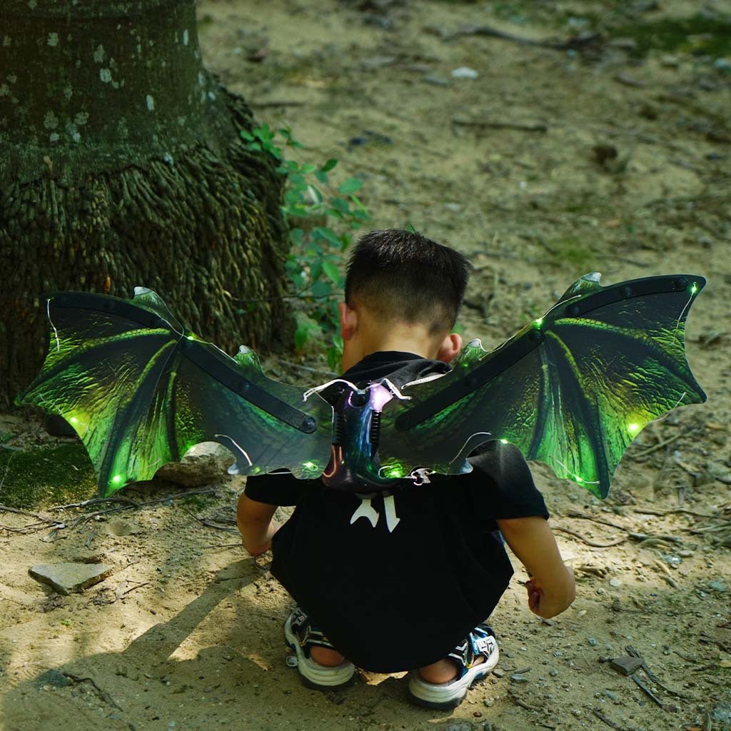 Dinosaur Wings Electric Butterfly Wings Children Luminous | Dinosaur Wings Electric Butterfly |
Product information:
Body battery: 4 AA battery (not included)
Usage time: According to the