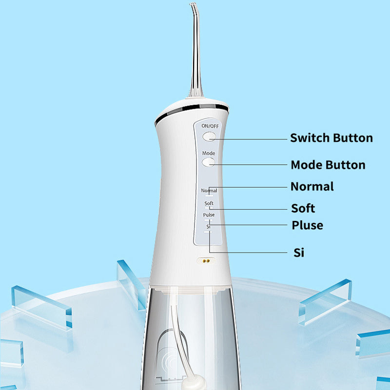 Personal Handheld Electric Portable Irrigator.