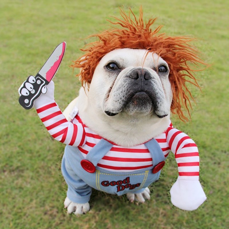 Halloween Pet Costume Pet Dog Funny Clothes Adjustable Dog Cosplay Costume Scary Costume Party Gatherings | Halloween Pet Costume Pet Dog Funny Clot |
Overview:
1. Asian sizes are 1 to 2 sizes smaller than European and American people. Choose the l