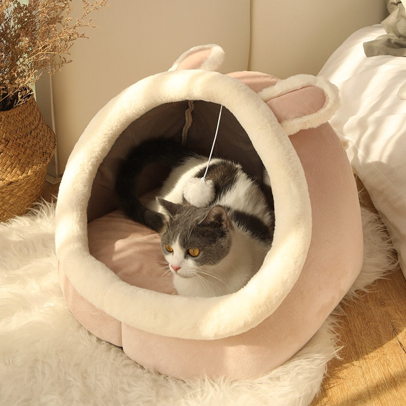 Purr-Fect Cat Bed.