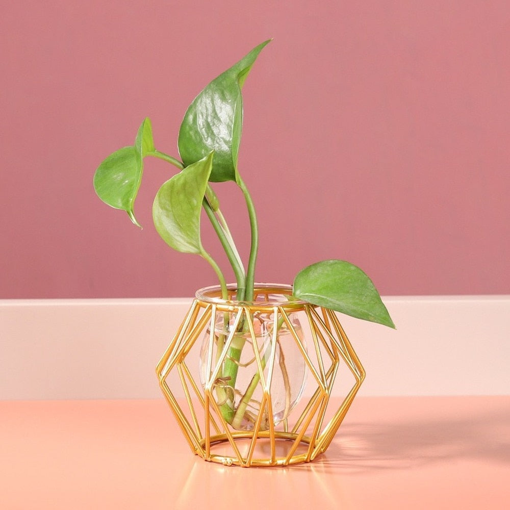 Iron Line Flower Vase Metal Plant Holder Modern Home Decor Vases Ornament Nordic Style Golden Black Glass Hydroponic Container.