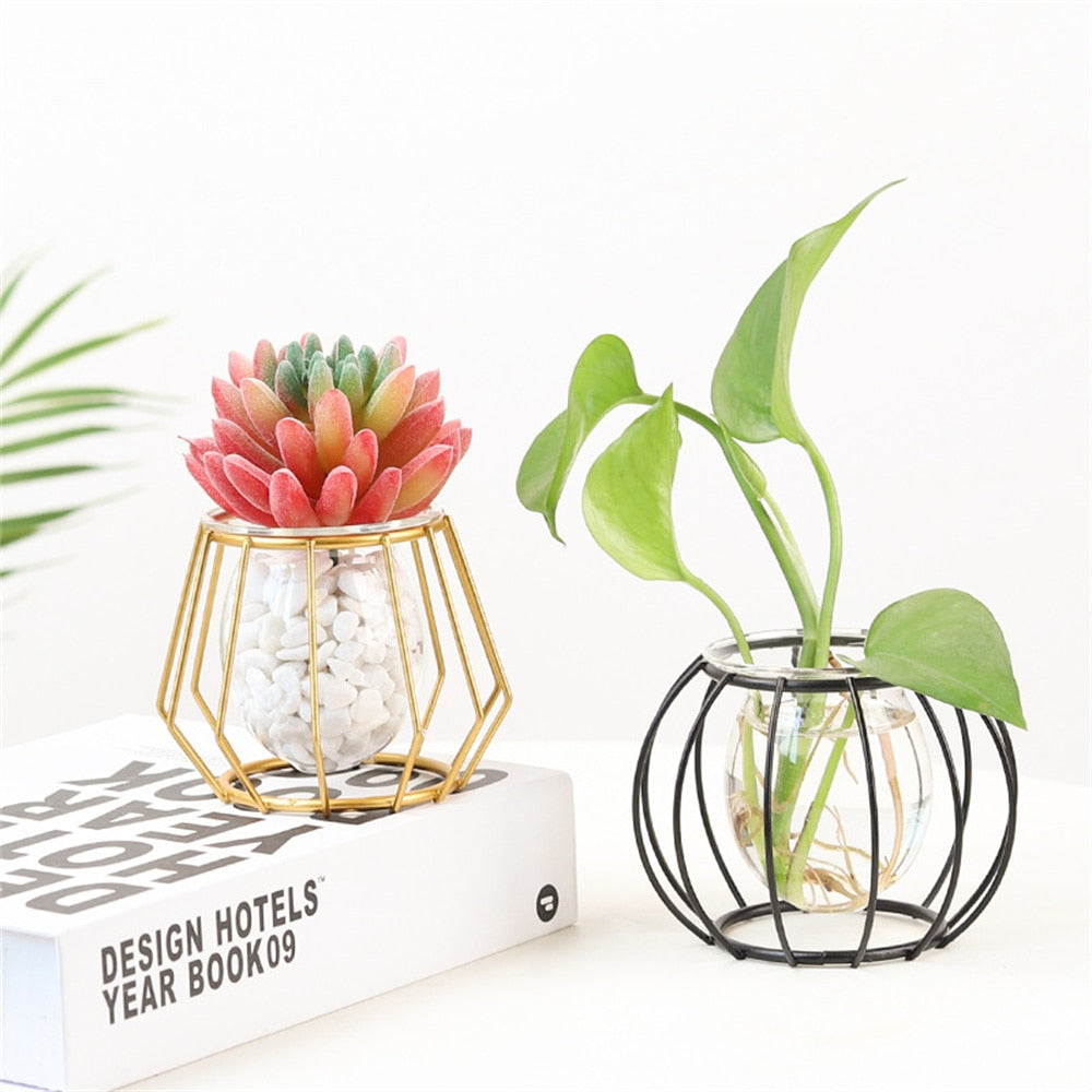 Iron Line Flower Vase Metal Plant Holder Modern Home Decor Vases Ornament Nordic Style Golden Black Glass Hydroponic Container.