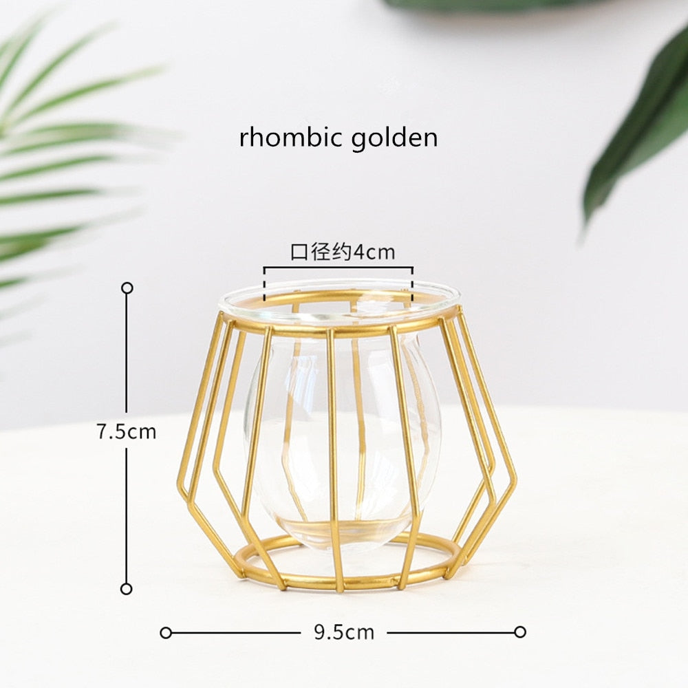 Iron Line Flower Vase Metal Plant Holder Modern Home Decor Vases Ornament Nordic Style Golden Black Glass Hydroponic Container.