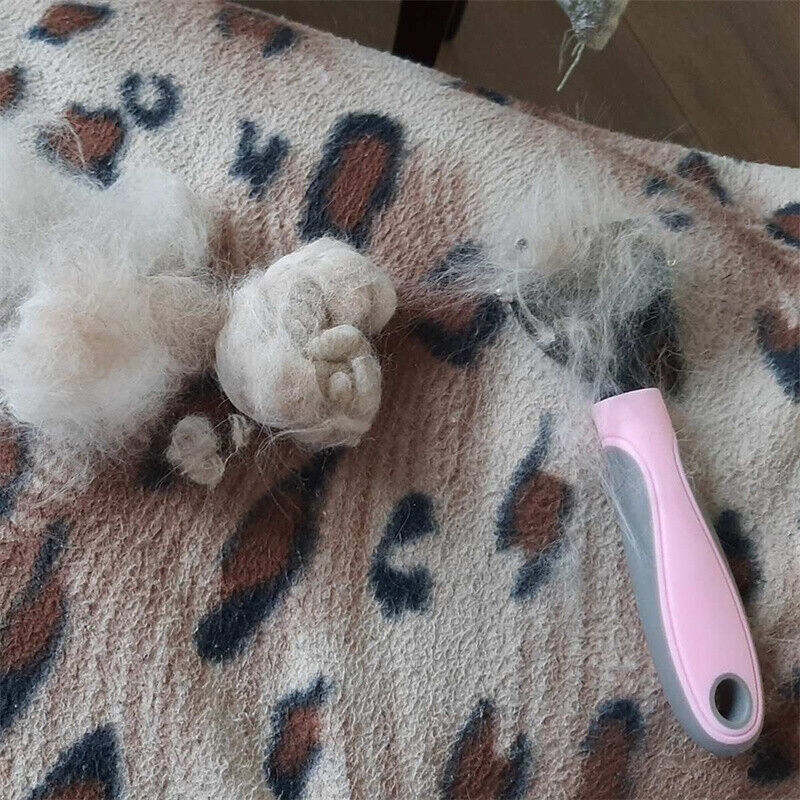Professional Pet Grooming Tool UK gadgets