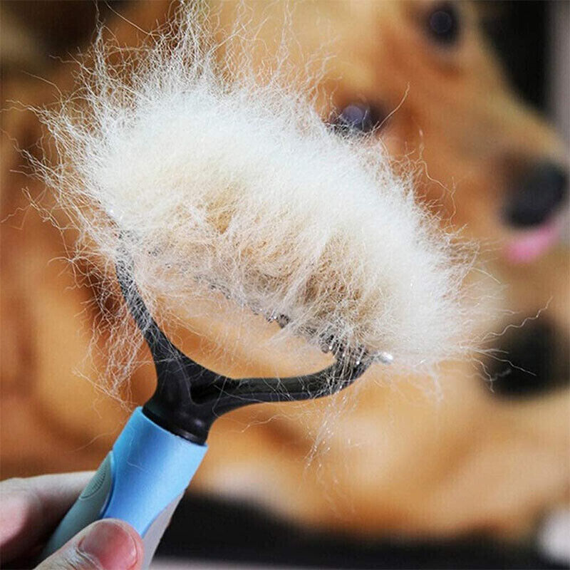 Professional Pet Grooming Tool UK