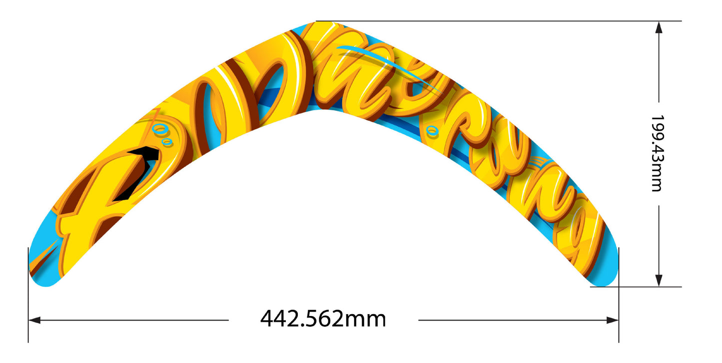 Outdoor Sports Flying Boomerang Toys.