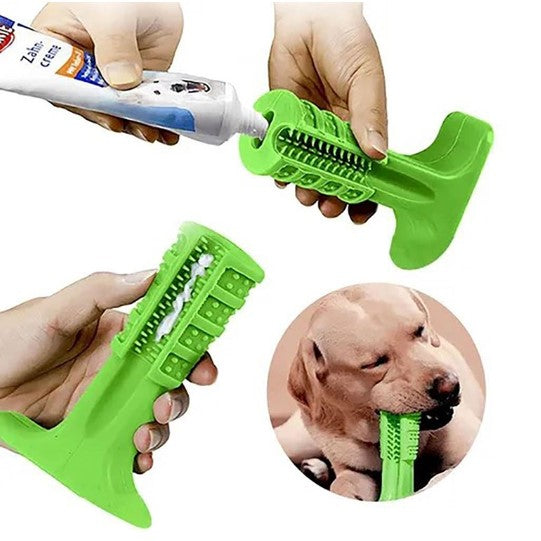 Pet Teether Toothbrush.