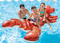 Inflatable water toys.