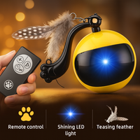 Pet toy with remote control, LED light, and feather on a warm background