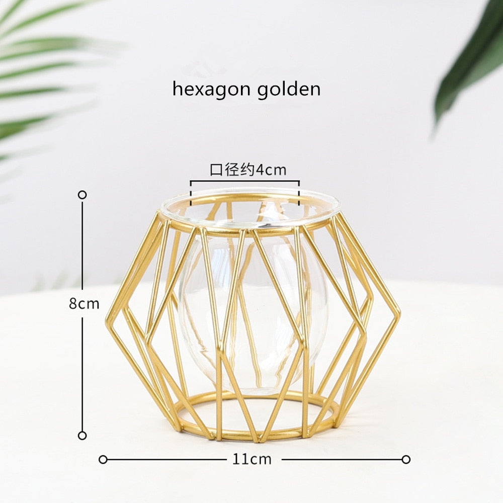 Iron Line Flower Vase Metal Plant Holder Modern Home Decor Vases Ornament Nordic Style Golden Black Glass Hydroponic Container.