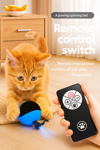 Cat playing with a glowing spinning ball controlled by a remote switch on a wooden floor.