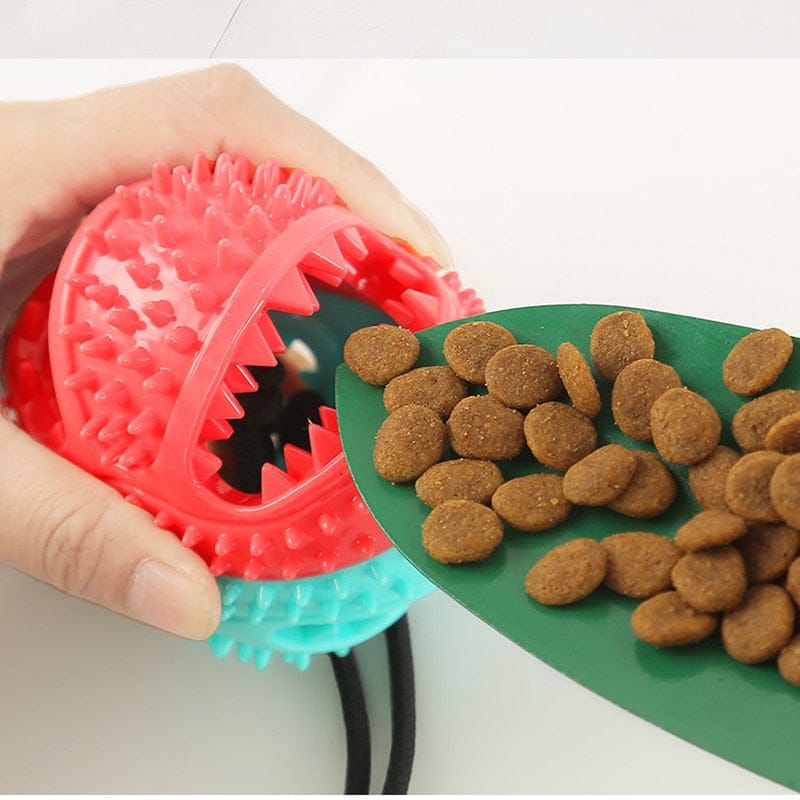 Silicone Suction Cup Dog Toy.