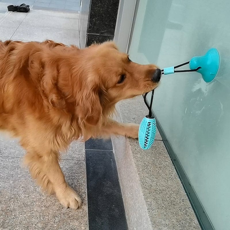 Silicone Suction Cup Dog Toy.