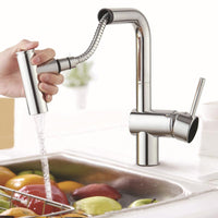 Kitchen Pull Out Faucet Sprayer.