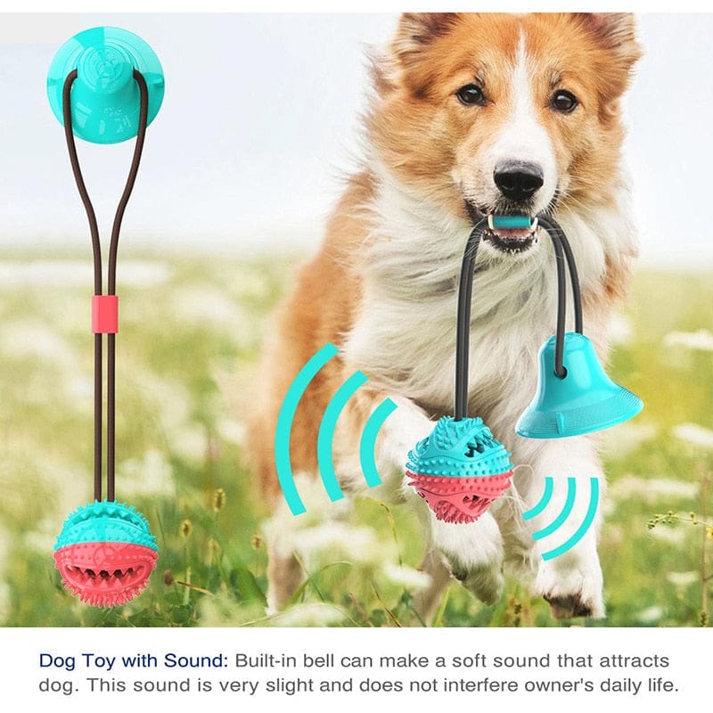 Silicone Suction Cup Dog Toy.